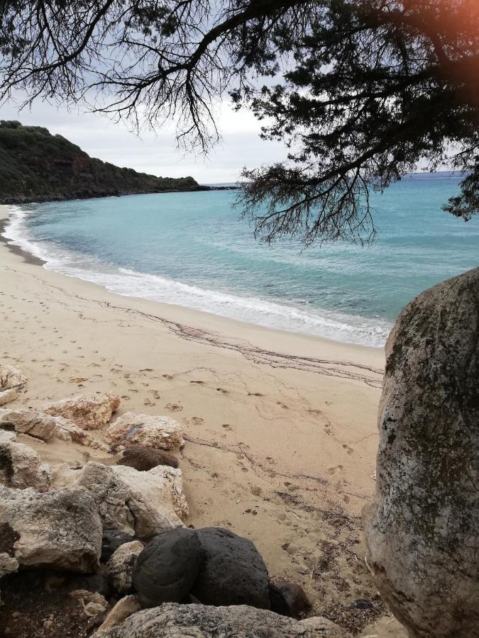 Appartamenti Le Conchiglie E Le Stelle Marine Cala Gonone Buitenkant foto