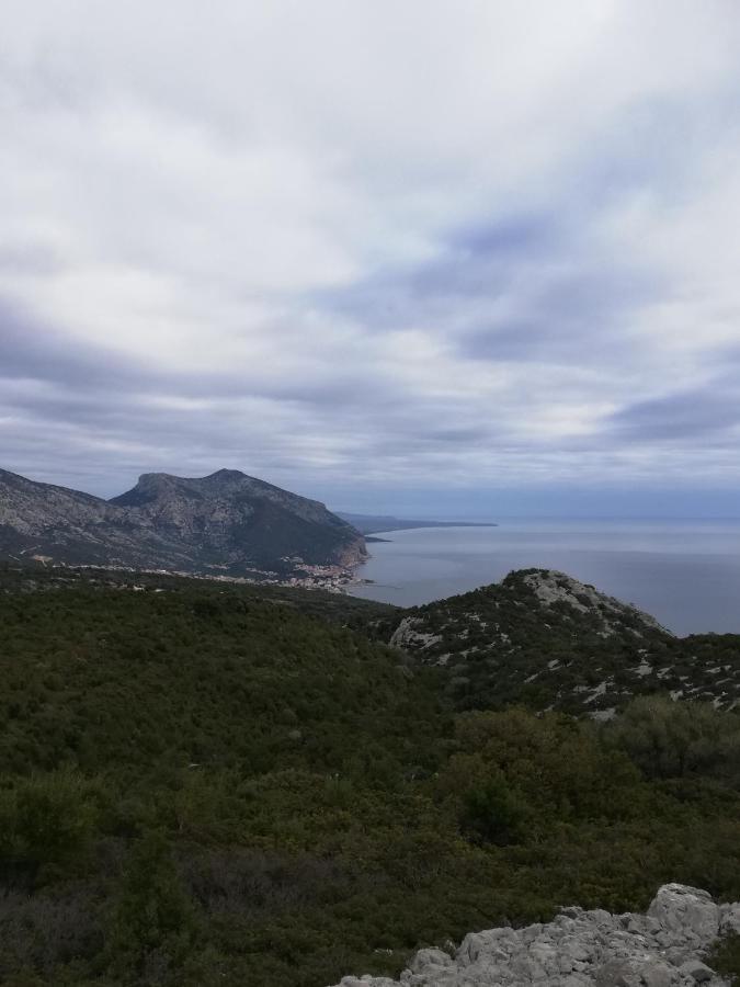 Appartamenti Le Conchiglie E Le Stelle Marine Cala Gonone Buitenkant foto