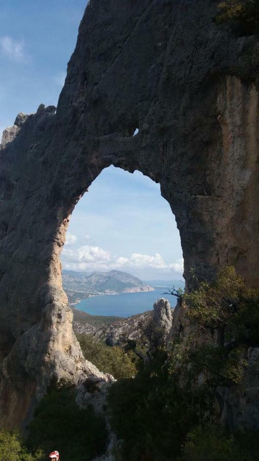 Appartamenti Le Conchiglie E Le Stelle Marine Cala Gonone Buitenkant foto